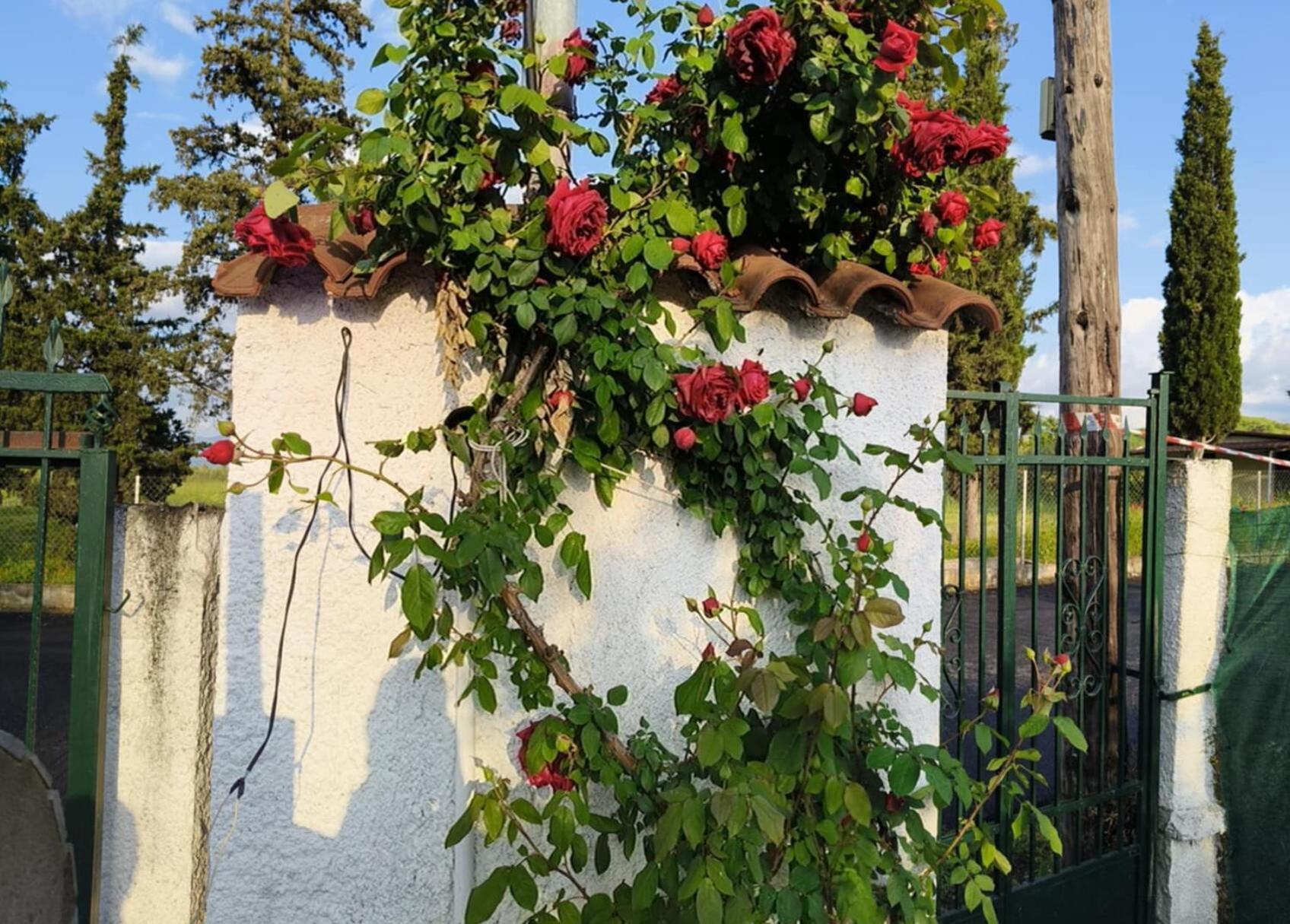 Πετρινη Κατοικια Στην Φυση Villa Tagarades Exterior photo